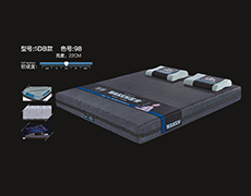 5DB款-色号98