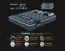 宝马王-色号179