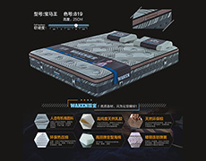 宝马王-色号819