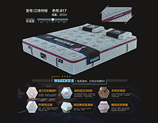 江诗丹顿-色号817