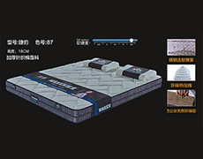 捷豹-色号87