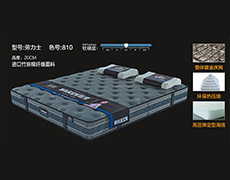 劳力士-色号810