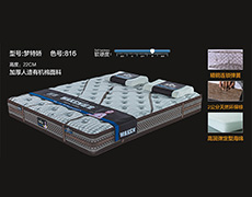梦特娇-色号816