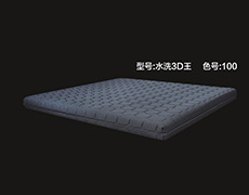 水洗3D王-色号100