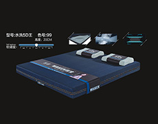 水洗5D王-色号99
