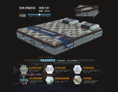 伊丽莎白-色号151