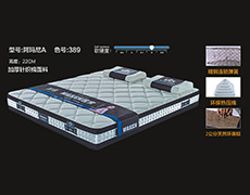 阿玛尼A-色号389