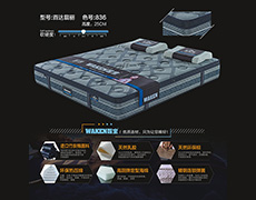百达翡丽-色号836