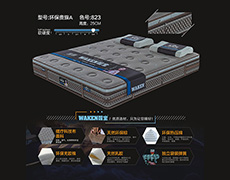 环保贵族A-色号823